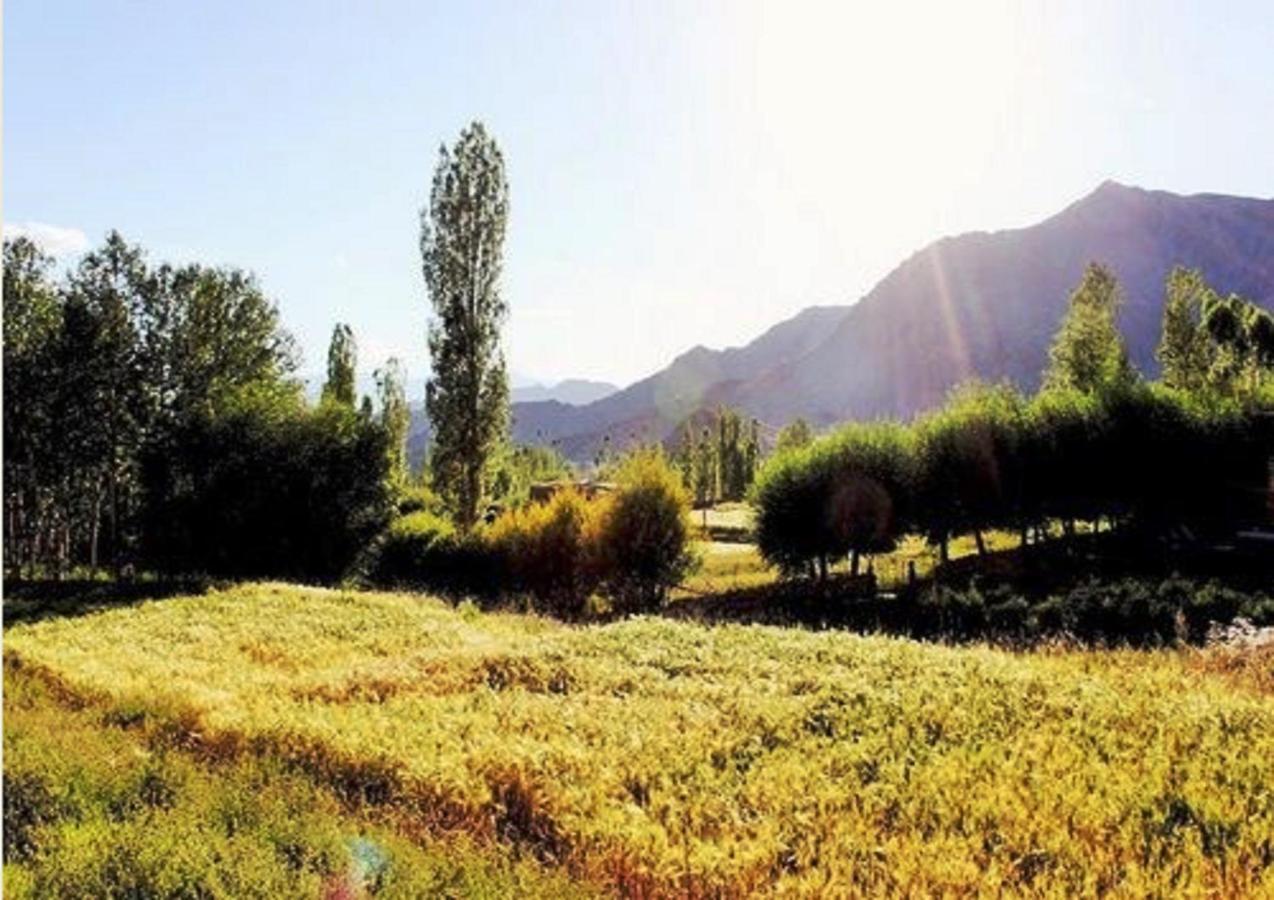 Himalayan Residency Ladakh Hotel Leh Eksteriør billede